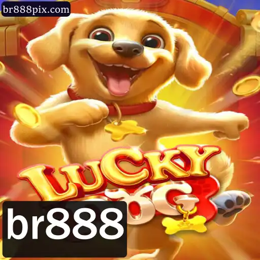 Explorando o Mundo de LuckyDog: Regras, Dicas e Estratégias com BR888
